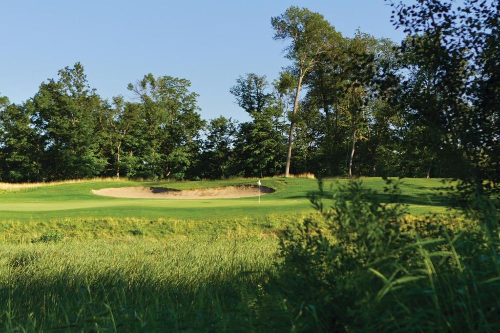 Arrowwood Resort Hotel and Conference Center - Alexandria image 7